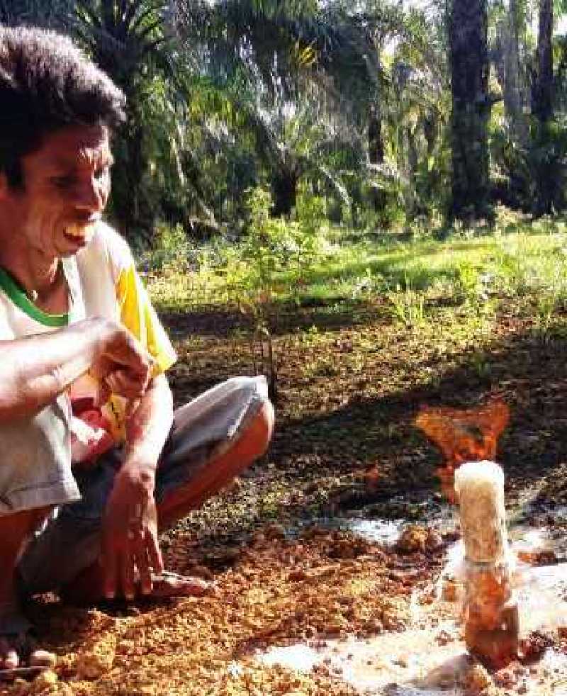 Heboh! Pekerja Kilang Sawmill di Rohil Temukan Semburan Gas Aktif