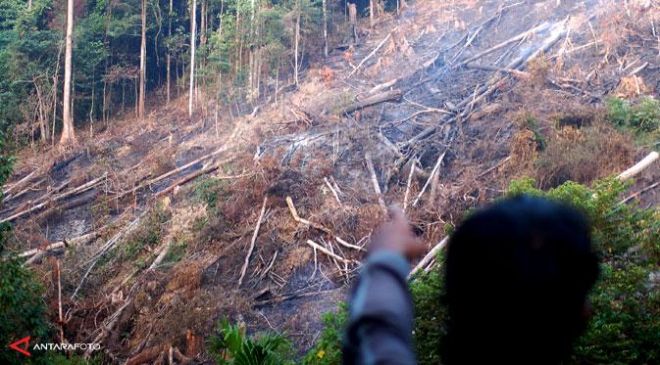 Inhu Sumbang Titik Panas Paling Banyak