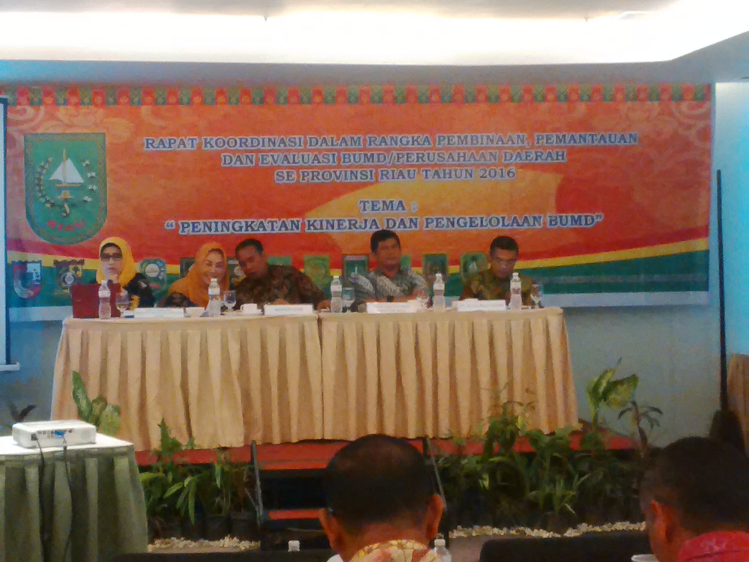 Ini Dia Jumlah Aset BUMD di Riau, PT. RAL Tidak Tercatat !