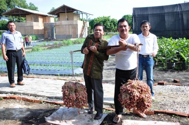 Kata JN, Jika Ingin Sukses Cintai Pekerjaan