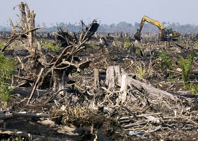 Memasuki Musim Hujan, Gubri Minta Waspadai Musibah Banjir