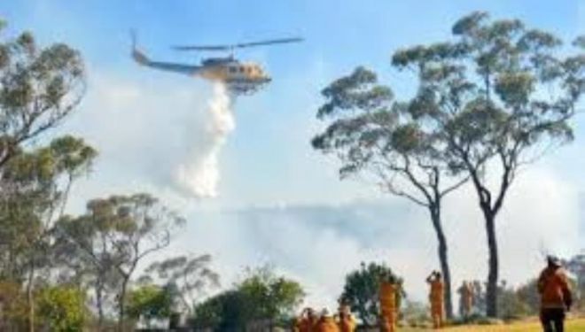 Peringatan Kebakaran Lahan Kampar, Kebun Nenas pun Ludes