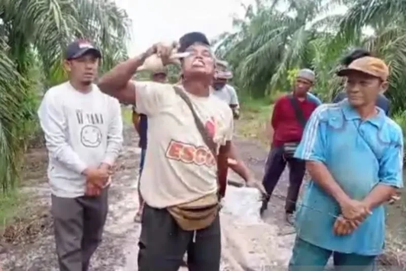 Petani Siak Makan Kaca Bola Lampu