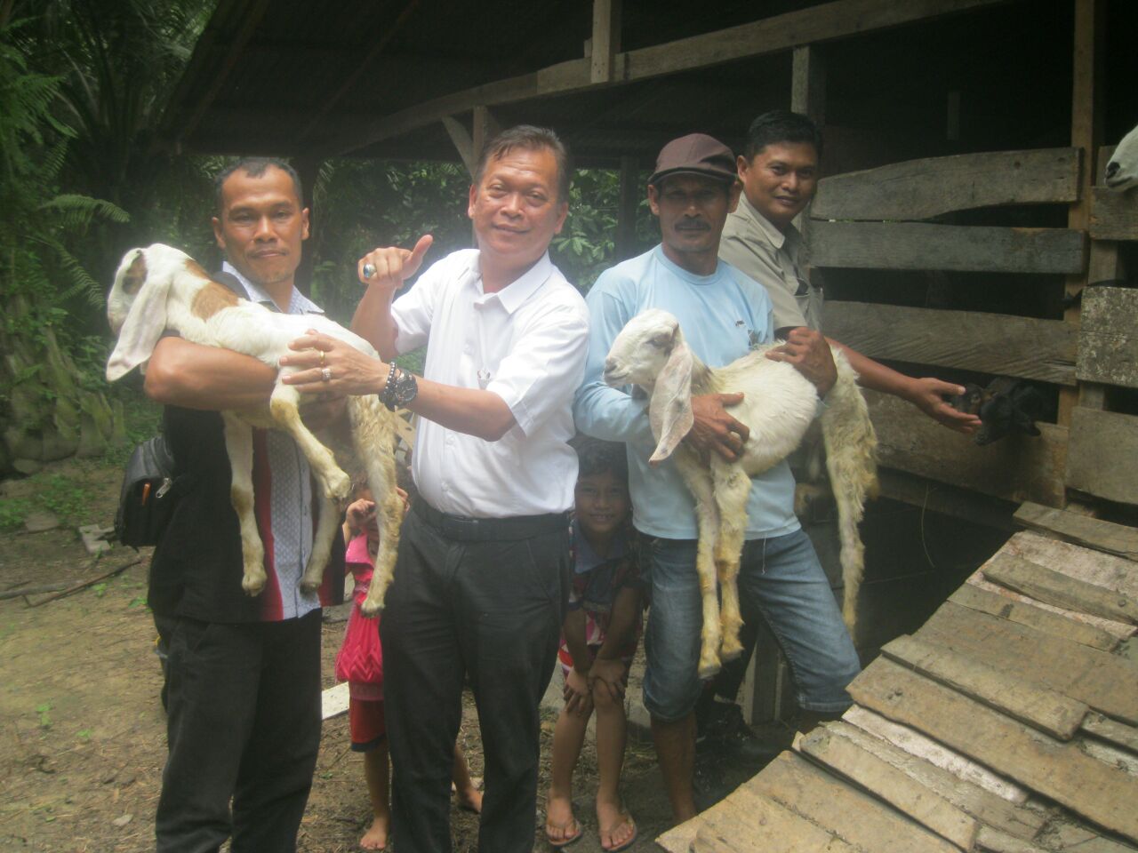 Peternak Asian Agri  Sumringah, Idul Adha Memberi Berkah