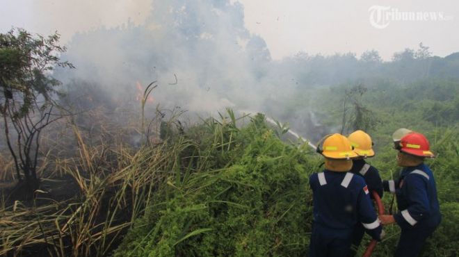 Plt Gubri Imbau Warga Cegah Karhutla